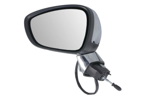 Exterior Mirror (5402-21-039339P)