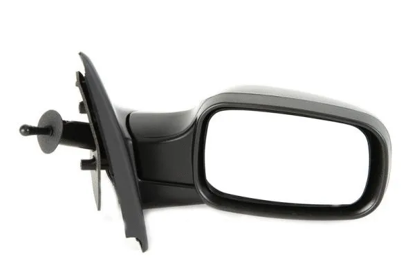 Exterior Mirror (5402-04-1192175P)
