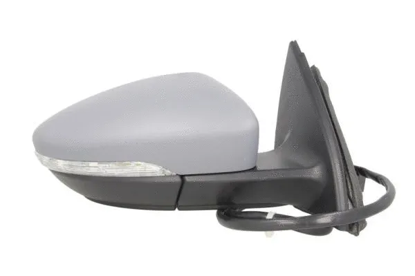 Exterior Mirror