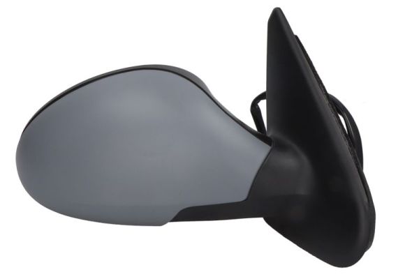 Exterior Mirror