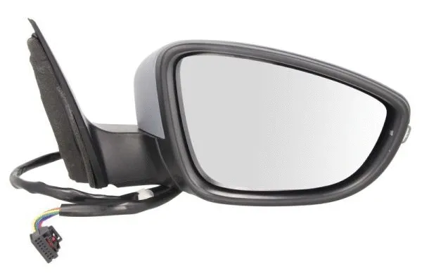 Exterior Mirror (5402-01-2002670P)