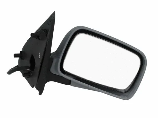 Exterior Mirror (5402-04-1121198P)