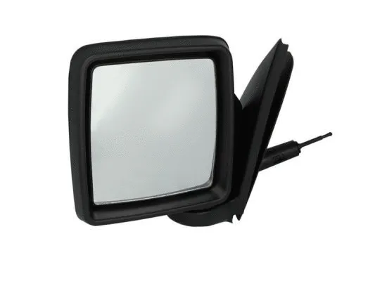 Exterior Mirror (5402-04-9237221P)