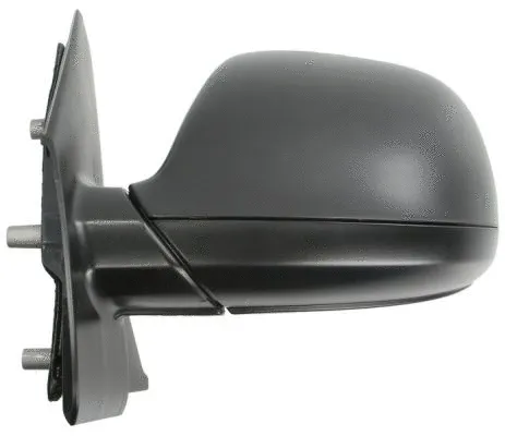 Exterior Mirror