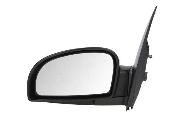 Exterior Mirror (5402-04-1125120)