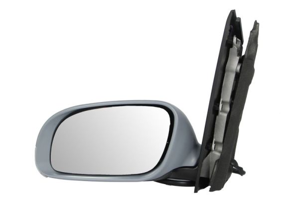 Exterior Mirror (5402-04-9225192)