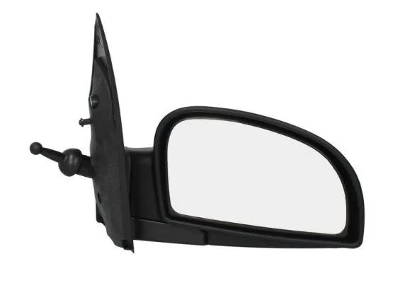 Exterior Mirror (5402-04-1138121)