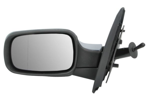 Exterior Mirror (5402-04-1195175P)