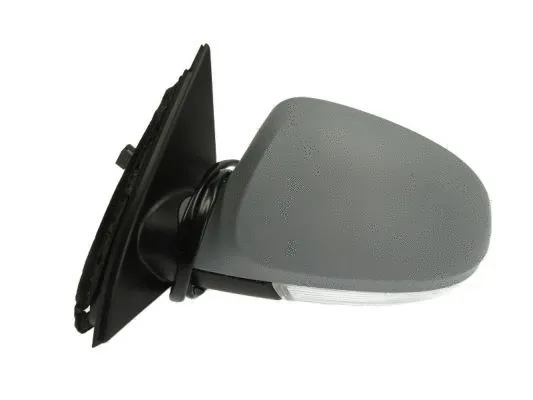 Exterior Mirror