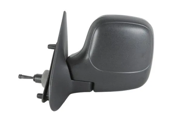 Exterior Mirror (5402-04-9212972)