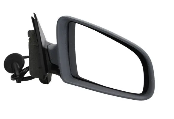 Exterior Mirror (5402-04-1139599)