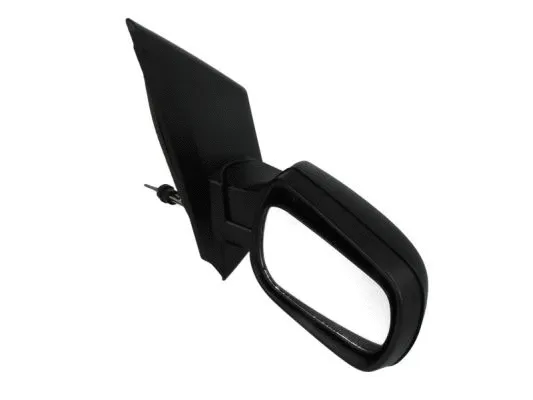 Exterior Mirror (5402-04-1115387P)