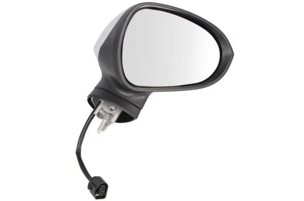 Exterior Mirror (5402-10-2002296P)