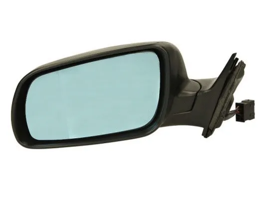 Exterior Mirror (5402-04-1121597P)