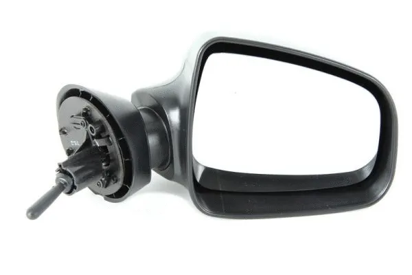 Exterior Mirror (5402-04-1115592P)