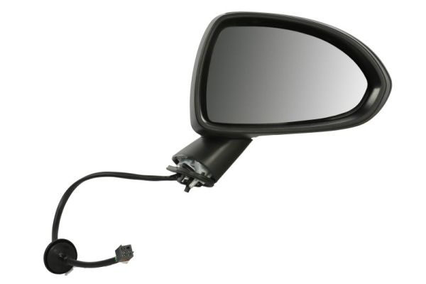 Exterior Mirror (5402-04-1129225P)