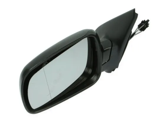 Exterior Mirror (5402-04-1112999P)