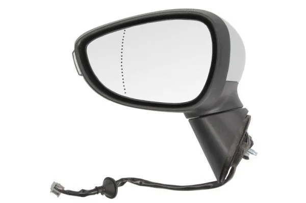 Exterior Mirror (5402-03-2001181P)