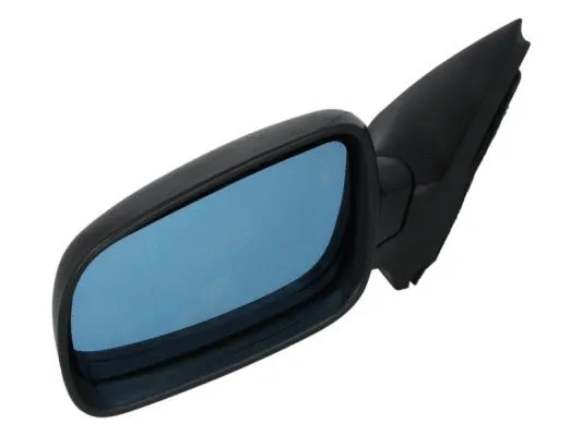 Exterior Mirror (5402-04-1127126)
