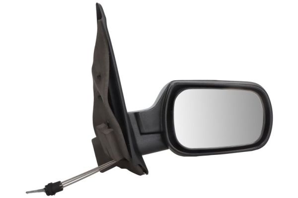 Exterior Mirror (5402-04-1138389)