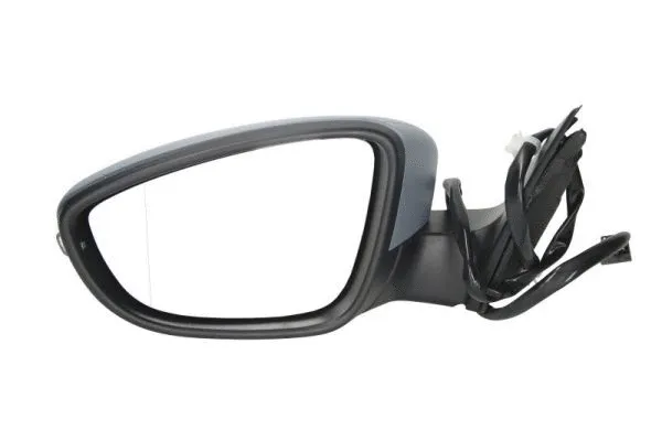 Exterior Mirror (5402-01-2002673P)