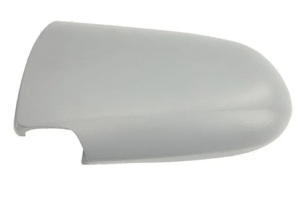 Housing, exterior mirror (6103-04-2002043P)