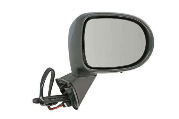 Exterior Mirror (5402-09-2002202P)