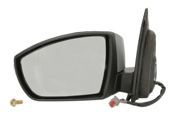 Exterior Mirror (5402-04-9229375)