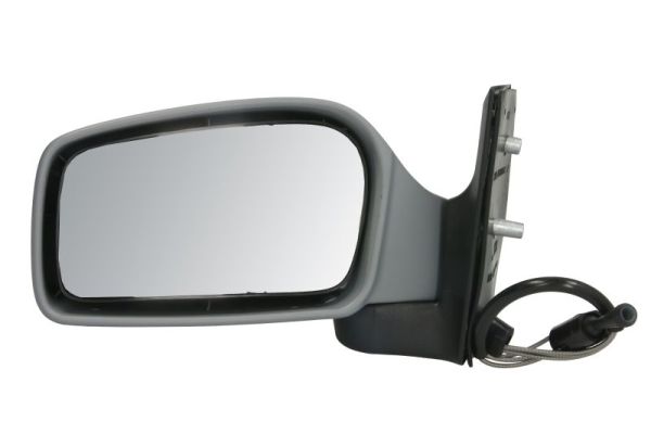 Exterior Mirror (5402-04-1112358P)
