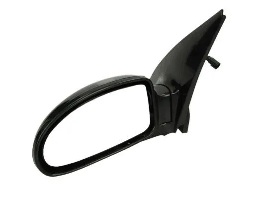 Exterior Mirror (5402-04-1139399)