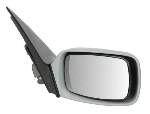 Exterior Mirror (5402-04-1129299)