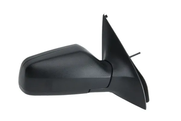 Exterior Mirror (5402-04-1121622P)