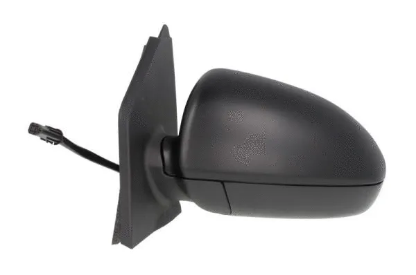 Exterior Mirror (5402-02-2002383P)