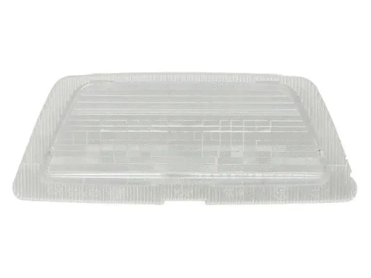 Licence Plate Light (5402-037-05-900)