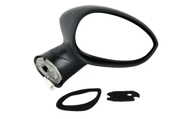 Exterior Mirror (5402-04-1192527)