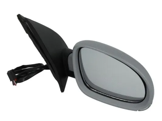 Exterior Mirror (5402-04-1128128P)