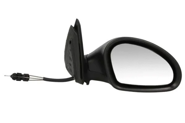 Exterior Mirror (5402-04-1115997P)