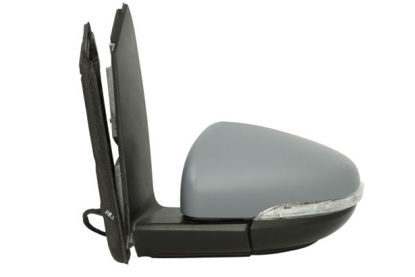 Exterior Mirror