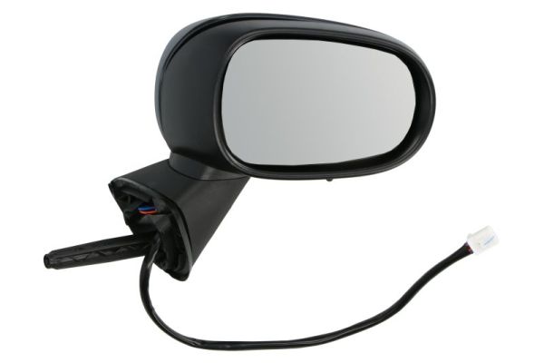 Exterior Mirror (5402-04-1132179P)