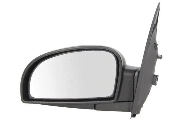 Exterior Mirror (5402-04-1127121)