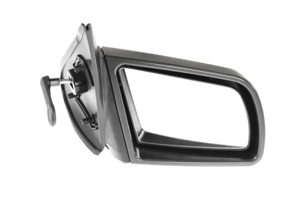 Exterior Mirror (5402-04-1192231P)