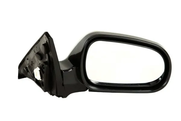 Exterior Mirror (5402-04-1128297)