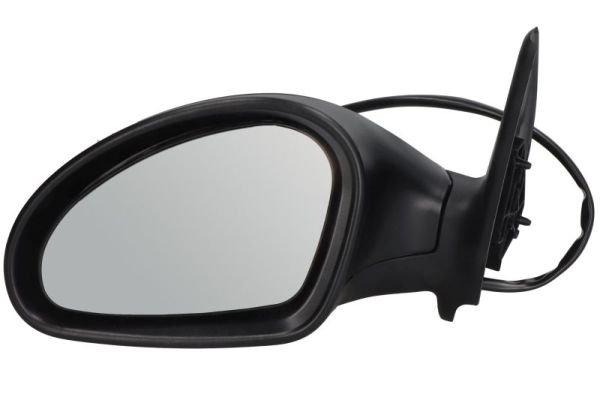 Exterior Mirror (5402-04-1139997P)