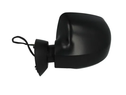 Exterior Mirror (5402-04-1125594)