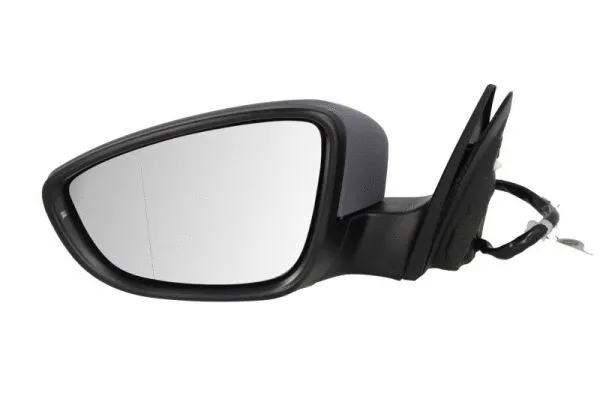 Exterior Mirror (5402-01-2002695P)