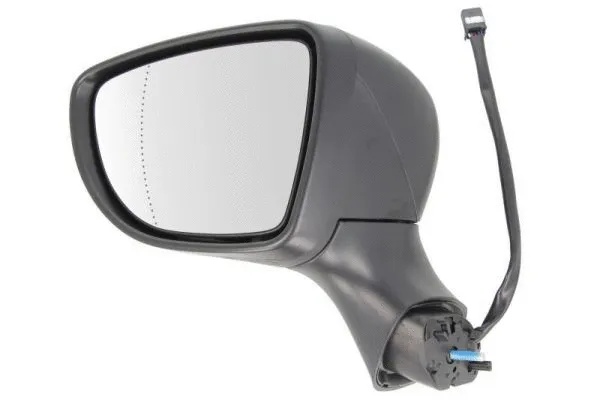 Exterior Mirror (5402-09-2002125P)