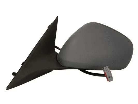 Exterior Mirror (5402-04-1121212P)