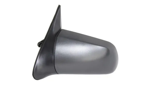 Exterior Mirror (5402-04-1191231P)