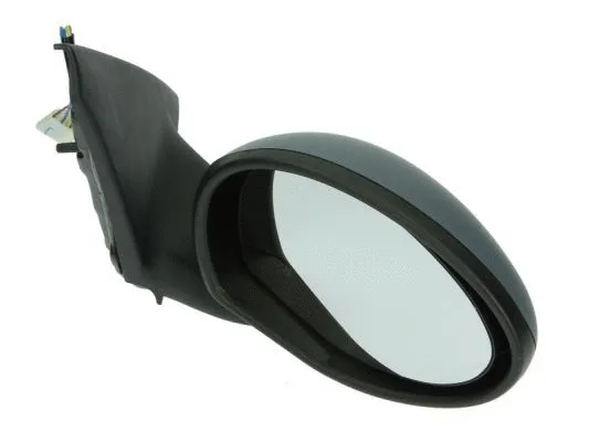 Exterior Mirror (5402-04-1129275)