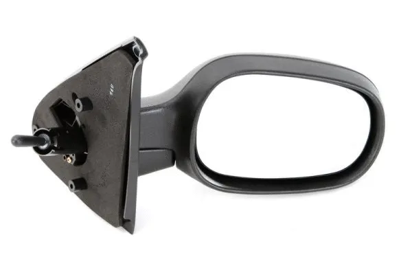 Exterior Mirror (5402-04-1115173P)